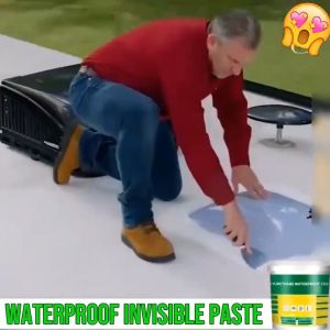 "CANDID SHOP" ( Buy 1 take 1 ) 100g/300g Sealant Waterproof Glue Waterproof Invisible Paste Mighty With Brush Adhesive Repair Glue For Home Roof Bathroom
