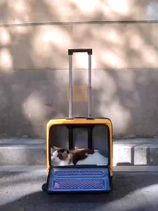 Purrpy Sugar Cube Premium Cat Carrier Luggage with Universal Wheels | Durable Pet Travel Carrier for All Breed Sizes | New
