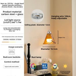 FANCY LAMP CLUB | Versatile Modernist Ceiling Light