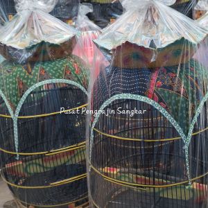 KANDANG PERKUTUT MAHKOTA JAMBUKAIN SANGKAR BURUNG TERBAIK KUALITAS SUPER AWET TAHAN LAMA