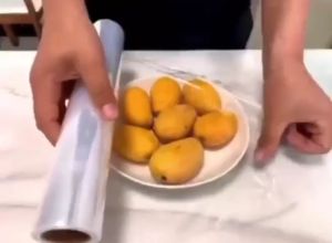 GO756 Plastik Wraping bungkus Pelindung Makanan Warp Plastic Food Grade