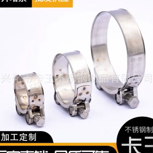 【COD/READY STOCK】 1pc Useful Sealing Exhaust Hardware Pipe Clip Stainless Steel Hose Clamps T Bolt