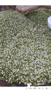 Đậu Xanh Tách Đôi – Giữ Nguyên Lớp Vỏ – Shop Nông Sản Vườn Quê – 500G/1KG – Hữu Cơ Nguyên Vỏ Thơm Bùi