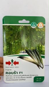 ผักซอง ศรแดง บวบงู คอบร้า จำนวน 10 เมล็ด/ซอง หมดอายุ 27/01/2570เมล็ดพันธุ์ ลอตใหม่ งอกดี ปลูกง่าย ต้นแข็งแรง แตกแขนงดี ผลสีเขียวสด