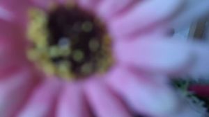 Bunga Krisan Palsu Bunga Gerbera Artificial Bunga Palsu BG174