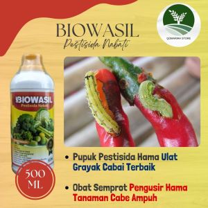 Terlaris Obat Ulat Cabe Paling Ampuh - Obat Pembasmi Ulat Pada Cabe -Obat Ulat Untuk Tanaman Cabe Terbaik - BIOWASIL 500ML - Pupuk Pestisida Pengendali Hama Ulat Grayak Cabai Paling Ampuh BERKUALITAS 100%