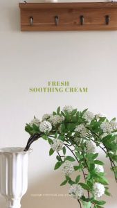 ONGREDIENTS Fresh Soothing Cream 50ml