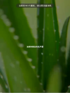 Aloe Vera Gel Hydrating Moisturizing Moisture Nourishing Skin After Sun Repair