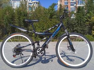 Dual Shock Dual Disc Brakes Variable Speed Mountain Bike
