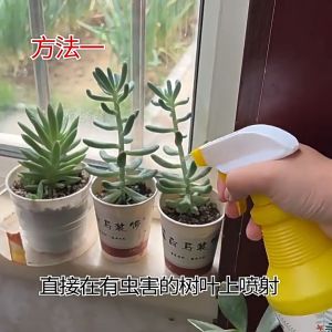 【Local Warehouse】Plant Organic Insecticide 500ML Pesticides for Plants Organic Insecticide Insecticide for Vegetables for Killing Plant Pests Without Harming Plants Fungicide for Plants Pest Control