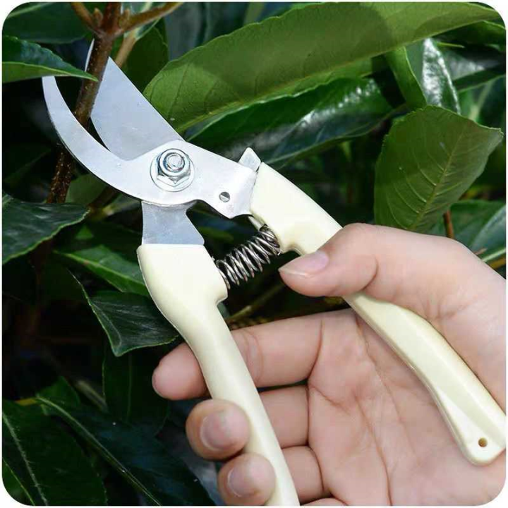 SUOMAN%20%7C%20%E0%B8%81%E0%B8%A3%E0%B8%A3%E0%B9%84%E0%B8%81%E0%B8%A3%E0%B8%95%E0%B8%B1%E0%B8%94%E0%B8%81%E0%B8%B4%E0%B9%88%E0%B8%87%E0%B8%94%E0%B8%AD%E0%B8%81%E0%B9%84%E0%B8%A1%E0%B9%89%20-%20Image%204