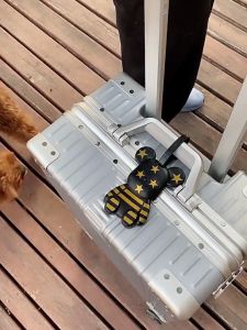 Luggage Tag Name Address ID Labels Travel Suitcase Bag Baggage Label violent bear Luggage Tag