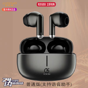 Original AI Intelligent Translation Earphones Zinc Alloy Sports High Quality Long Battery Life Gaming Earphones Wireless Noise Reduction