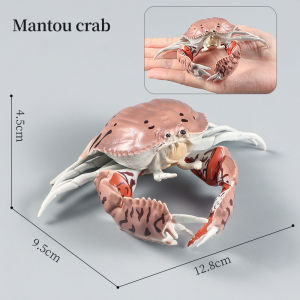 Kids Ocean Animals Simulation Toy Gift - Crab Lobster Sea Life Model Action Figures Collection Educational Plaything