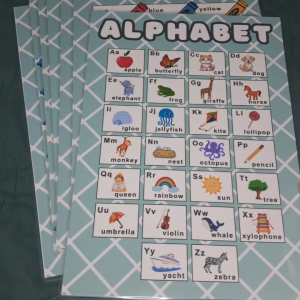 High Quality Laminated Educational Charts - Shapes Colors Months Vegetables Fruits Numbers Alphabet Customized