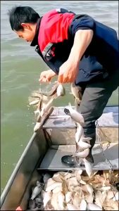 Jaring tenggelam lapisan tunggal 3 merujuk kepada jaring melekit jaring gantung filamen lembut dan sutera tebal jaring memancing dan jaring tiga lapisan