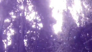 Parfum BVL OMNAI AMETHYSTE EDT 100ml atau 65ml / Crystalline / mary katrantzou / Sapphire / Paraiba Import Singapore