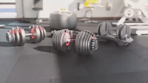 Adjustable Fitness Dumbbells 12KG/18KG/24KG/40KG with 15-Speed Gear System and Safety Latch - Water-Resistant and Anti-Flake Durable Steel