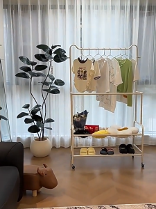 Cat Ear Double Rod Floor Clothes Rack with Wheels Multifunction Garment Organizer with Storage Basket & Shoe Storage