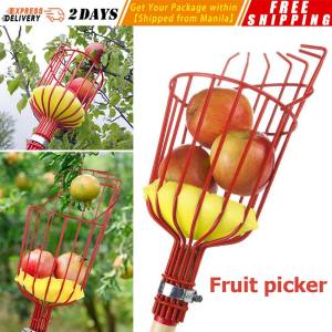 Fruit Catcher Head: A Comprehensive Guide to the Carbon Steel Fruit Picker