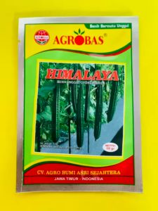 Benih unggul oyong/gambas hibrida HIMALAYA isi 10 gram dari AGROBAS joss tenan!!