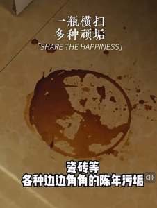 LaoGuanJia Oxalic Acid Industrial Strength Tile & Toilet Cleaner – Rust & Stain Removal High Concentration 老管家草酸清洁剂瓷砖清洁去黄厕所马桶地砖去污渍
