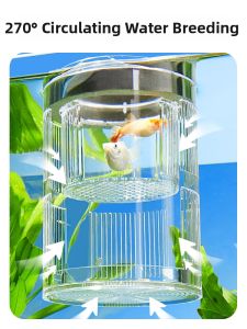 Yee | Isolation and Incubation Tank for Small Fish or Fry Floating Acrylic