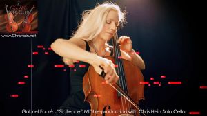 Sofware VST Chris Hein - Solo Cello Kontakt Library