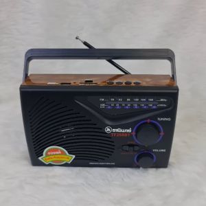 วิทยุธานินทร์ วิทยุธรรมะ ลำโพงบลูทูธ ฟังได้ทั้ง AM/FM/USB/SD/MP3/BT รุ่น วิทยุ ธรรมะ วิทยุ ธานินทร์ - Lazada