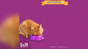 EXCEL Mother & Kitten 500gr Fresh Pack / Makanan Kucing Excel 500gr