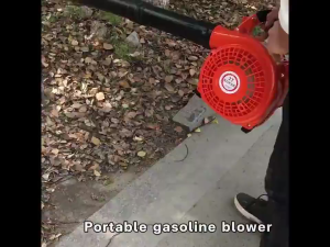 Leaf Blower cordless EB-260 2-Stroke hand blower leaves Powerful Wind blower machine Portable Leaf Blow Machine gasoline