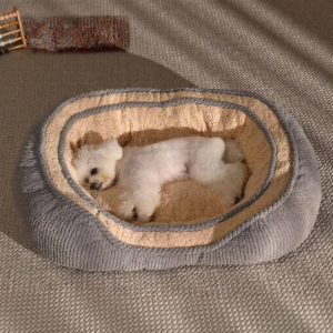 LIWAN | Four Seasons Universal Pet Bed for Small Medium Dogs Cats