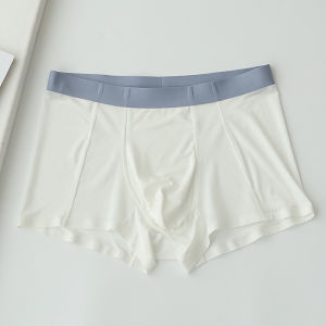 Minimalist Men Cool Ice Silk Mesh Breathable Traceless Shorts Light and Seamless Mid-Waist Youth Boxer Briefs Quick-Drying