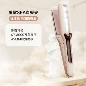 LivChic Negative Ion Steam Straightening And Curling Iron Wet Dry Two Use Hair Styling Tools Home Travel Versatile Beauty Care