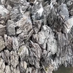 Qinglong stone landscaping stone raw stone amphibious fish tank rock