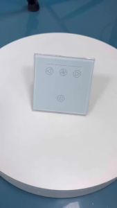 EU Tuya Smart Life WiFi Quạt Trần Công Tắc Đèn Điều Khiển Cảm Ứng Gắn Tường 2 Trong 1 Có Hẹn Giờ Điều Khiển Bằng Giọng Nói Tương Thích Với Alexa