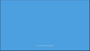 FEATOL Adjustable Back Brace: Sciatica Relief & Herniated Disc Support