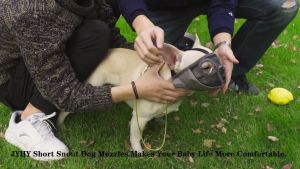 Rọ mõm cho Chó mõm ngắn rọ mõm Chó - Love Pets Shop