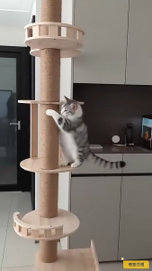 Tall Floor-to-Ceiling Cat Tower – Large Adjustable Cat Scratching Post with Condos & Perches