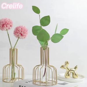 Nordic Golden Iron Vase with Hydroponic Glass for Ornaments Artificial Flower dried flowers Decor