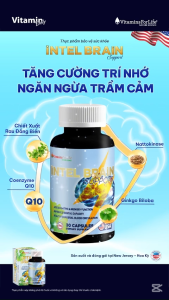 Viên Uống Bổ Não Intel Brain Support Giúp Giảm Stress Hoạt Huyết Dưỡng Não Giảm Đau Đầu Tăng Cường Trí Nhớ Hộp 30 Viên
