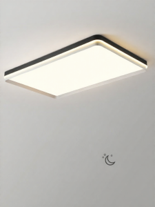 FANZHEN | Simplicity Full Spectrum Protective Ceiling Light