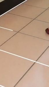 Chai Sơn Kẻ Chỉ Gạch Công Nghệ HQ 280ml - Keo Chà Ron Sứ Đa Năng