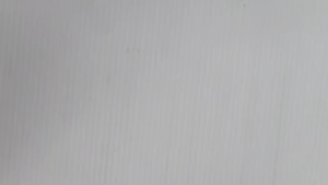 เมนธรรมดา 2P 63A ช้าง (CSO 292)