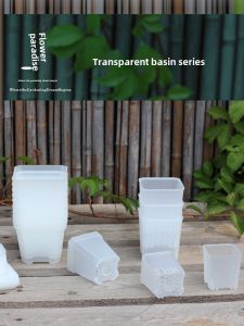 Thickened Transparent Plastic Succulent Plant Pots for Seedling Cultivation And Planting Stone Flower Gardening Containers