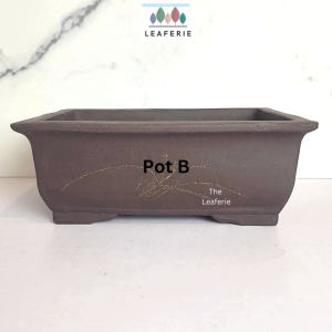 The Leaferie Rectangular Bonsai Pot / Tray (Series 2) Plant pot Zisha Flowerpot Purple Sand Planter