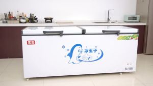 Commercial Glass Top Double Door Chest Freezer Peti Beku Cermin Horizontal Cabinet Sea Food Frozen Beverage Refrigerator