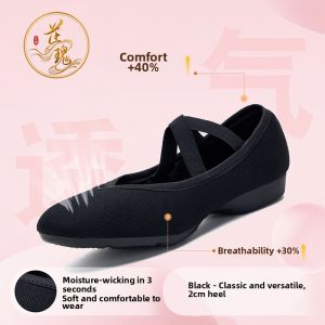 Soft Bottom Breathable Dance Shoes