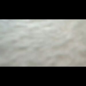 FREE CASE - Kacamata Gaya Hitam Clubmaster Kotak Lensa Anti Silau Uv Cocok Untuk Di Pakai Ke Pantai Hiking Bisa Di Pakai PRIA WANITA Motif Polos & Motif Macan - GAYA KOREA STYLE