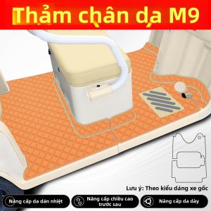 Phụ Kiện Xe Đạp 3 Bánh Tùy Chỉnh cho Dana Ronaldoo M9